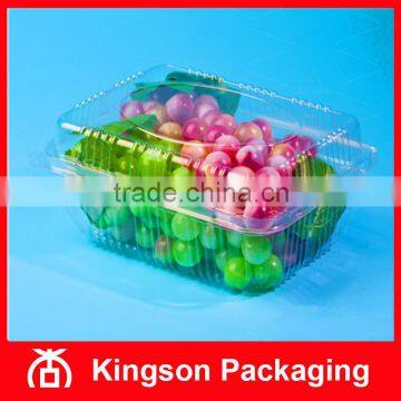 Disposable Clear Box for Fruit