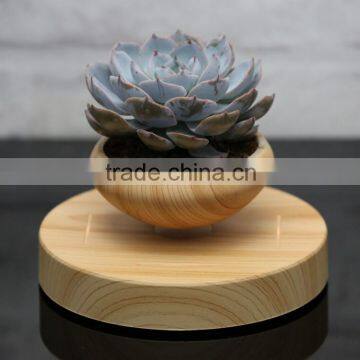 wholesale pricing air bonsai flower pots