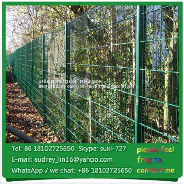 China Supplier PVC coated fence Anti climb Nylofor 2D Double wire fence