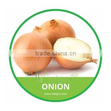 HIGH QUALITY FRESH ONION