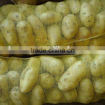 Holland Fresh Potato With Cheap Price Importer in Malaysia photo-5