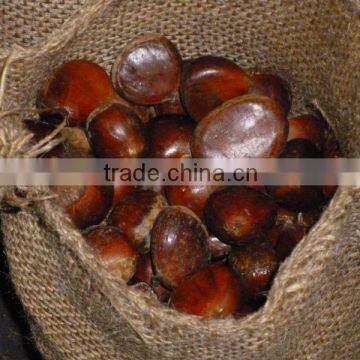 Chestnut /roased chestnut /dried chestnut