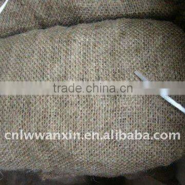 dandong fresh chestnut 10kg gunny bag