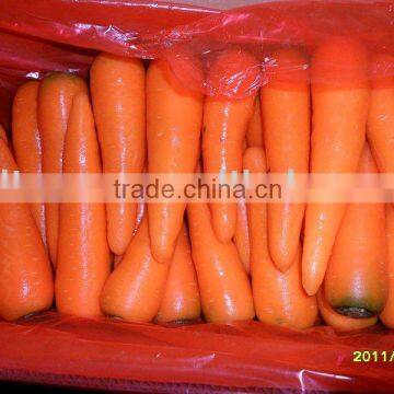 220g fresh red carrot(new grop)