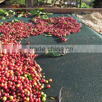 Original Green Coffee