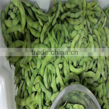 IQF Frozen Edamame Soyabeans