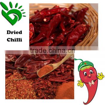 Export Dried Red Chilli