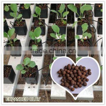 8-16MM Wholesale Hydroponics LECA ball for Greenhouse system