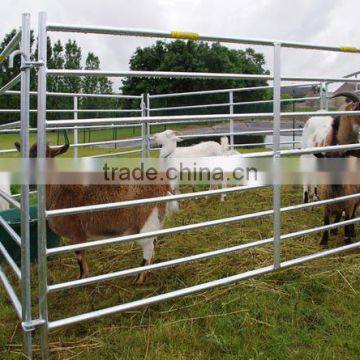 Galvanized sheep hurdle for sale