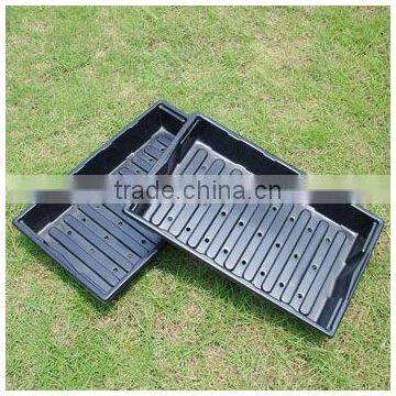 Nursery seedlings for seed tray HX35112