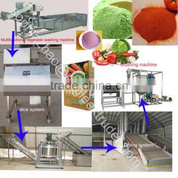 Made in China stainless steel Vegetable powder production line