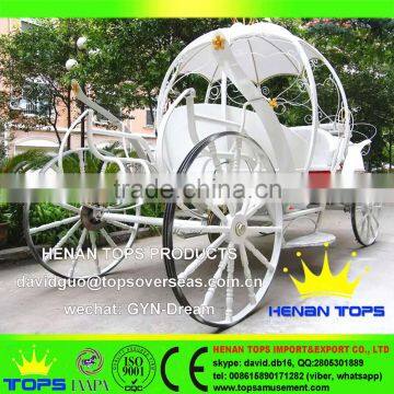 Luxury Baby Princess Horse Pumpkin Wedding Cinderella Carriage photo-4