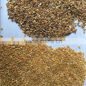 Accurate Commercial Optical Belt Color Sorter Machine Grain Color Sorter photo-5