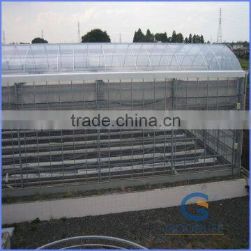 6mm greenhouse polycarbonate sheet price