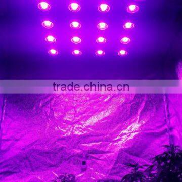 2016 The Most Powerful 5W LED Grow Light TL 400W 700W 900W 1200W 1600W (Veg / Special Bloom / Standard Spectrum Available) photo-4
