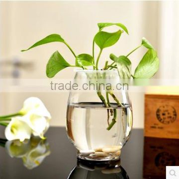 Dinosaur egg shaped flower glass vase for home decoration hydroponic glass terarium