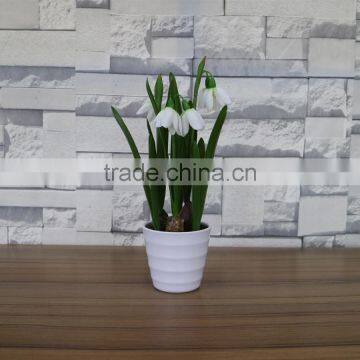 Table Artificial Mini Saussurea Flower Bonsai for Home and Commercial Decoration photo-2