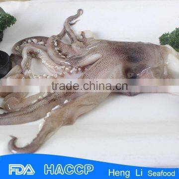 HL0088 delicious best quality frozen giant squid neck