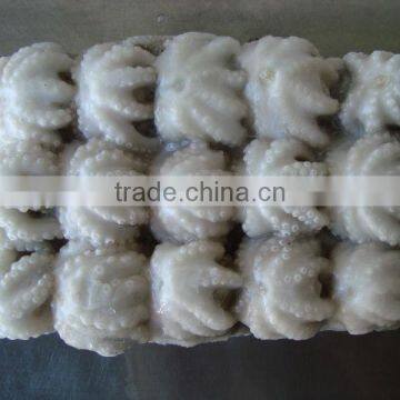 Frozen Baby Octopus/ Octopus Cut