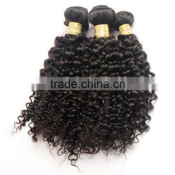Free Samples Virgin Indian Hair,Raw Unprocessed Indian Human Hair Different Types of Curly Weave Hair photo-4