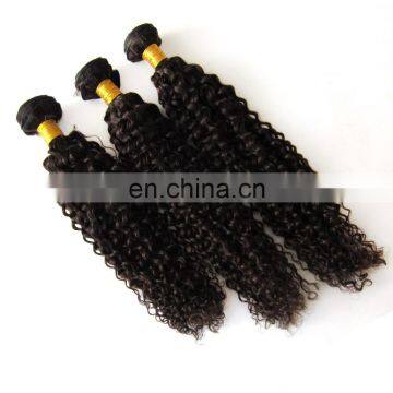 Short Hair Brazilian Curly Weave Natural Virgin Hair photo-4