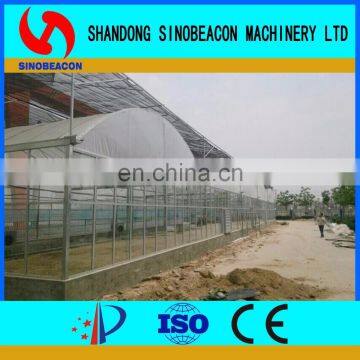 2017 Commercial Agricultural Aquaponics Greenhouse For Planting Vegetables