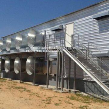 Steel Structure Chicken House Design Chicken House for Sale Cage Layer Chicken House China photo-3