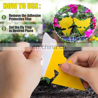 Factory Supply Discount Price 12 Pack Sticky Fruit Fly Trap Fungus Gnat Traps Killer for Indoor and Outdoor Protect The Plant