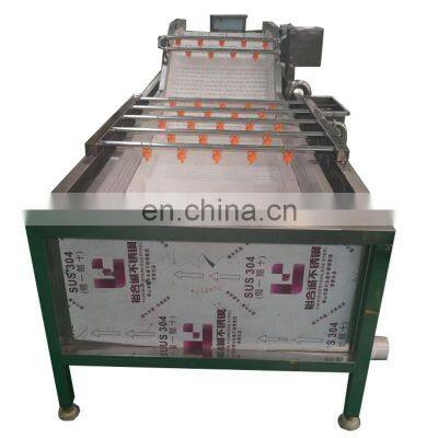 Commercial apple almond cleaning machine fruit washing machine for strawberry