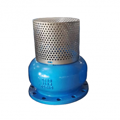 DIN Pn16 JIS 10K Ductile Iron Foot Valve 150lb Foot Valve With SS304 Mesh GG25 Foot Valve for Water Pipelines