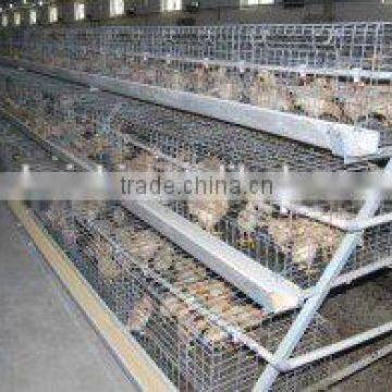 egg chicken house design for layers / chicken farm equipment