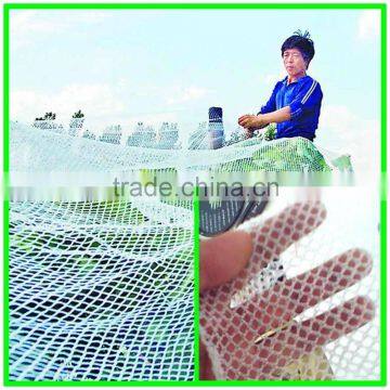 Apple Tree Used 100% Virgin HDPE Anti Hail Net With Low Price photo-4