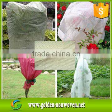 Spunbond pp Nonwoven/PP Spunbonded Non Woven For Weed Control 80gsm Weed Control Fabric For Garden photo-2