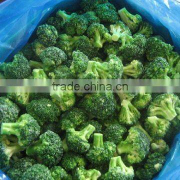 IQF frozen Broccoli with good quality and hot price