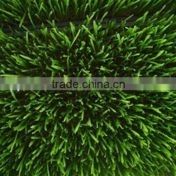 2016 Popular Animal Feeding Machine / Animal Machine photo-2