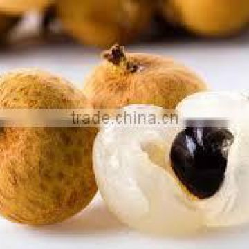 Vietnam Amazing Longan Fruit with best Price