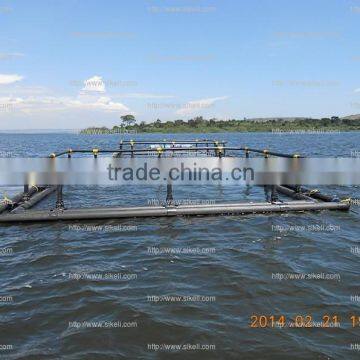 Volta Lake floating tilapia square cage