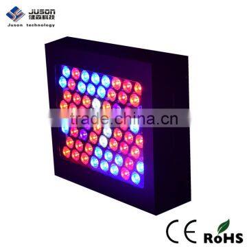 Wholesale Grow Lights LED 300W Full Spectrum For Indoor Plants