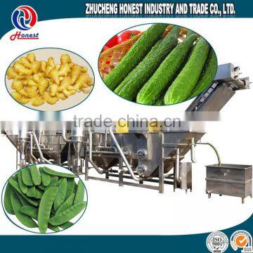 New Designed Fruit and Vegetable Processing Machines photo-4