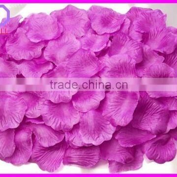 preserved natural rose petals