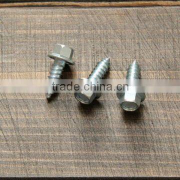 Fastener Hex Flange Head Self Tapping Roofing Screw photo-4