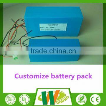 High power 48v 1000w electric bike battery lithium ion battery pack