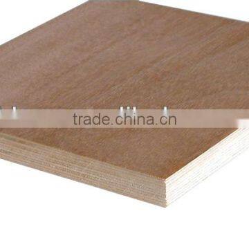 construction plywood & Film Faced Plywood