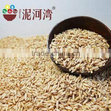 High Quality Chinese Hulled Oats, Naked Oats, Flat Oat Flakes, Rolled Oats Price photo-5