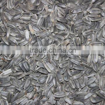 SUNFLOWER OIL ( Cold Press ) photo-6