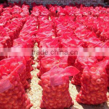 CELEBRITY EGYPTIAN CROP FRESH ONION GOOD PRICE photo-5