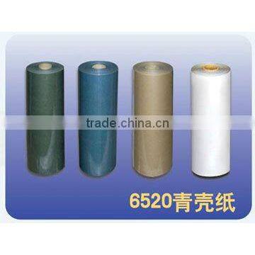 6520 green shell paper