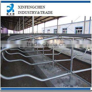 Factory direct supply galvanized cattle free stall