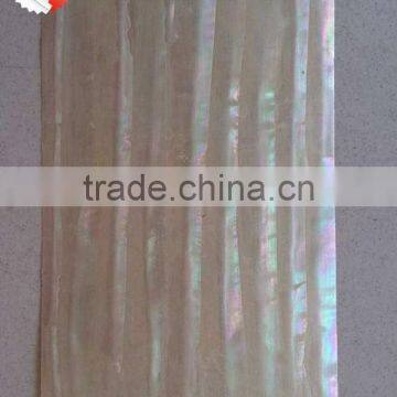 Green Snail Turbo Marmoratus Wall Paper Laminated