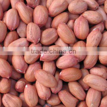 FE-06 High Speed Soybean and Rice Grinding Machine Sesame Almond Maker Peanuts Machine photo-5